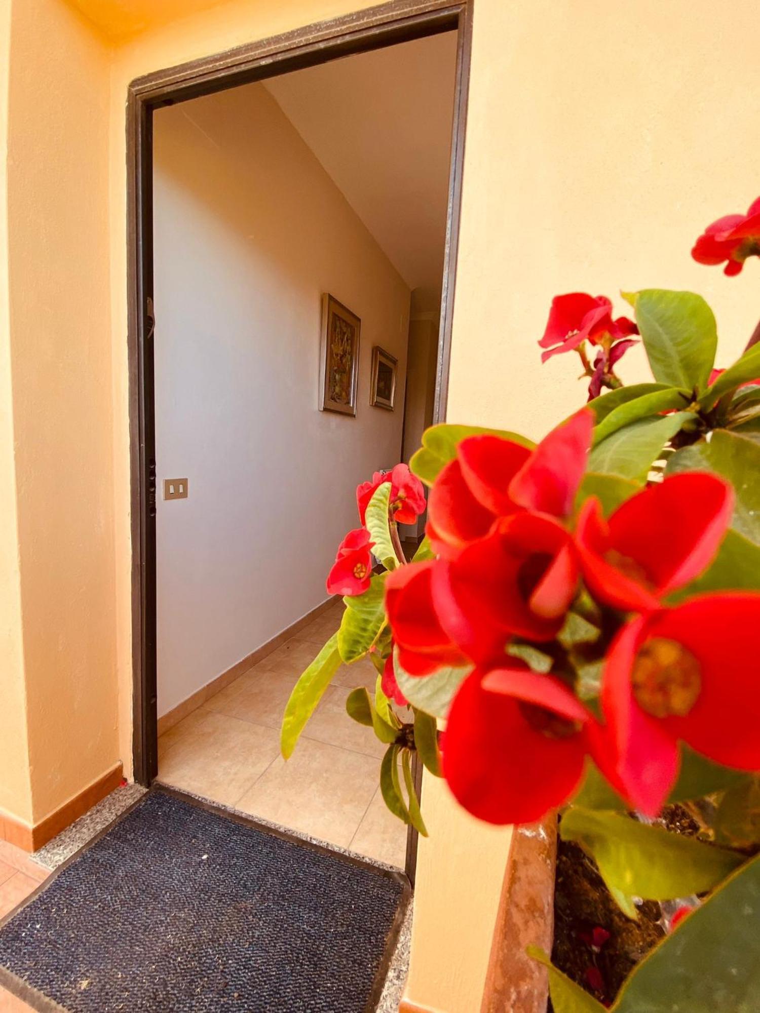 Villa Bella Vista Санта-Доменика Экстерьер фото